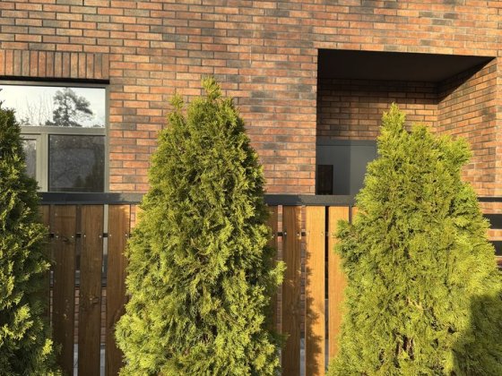 Продаж таунхасу в Бучі вул.Інституська з газом і каналізацією! Ирпень