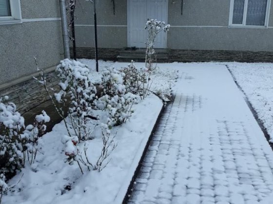 Будинок в оренду житло Чернівці