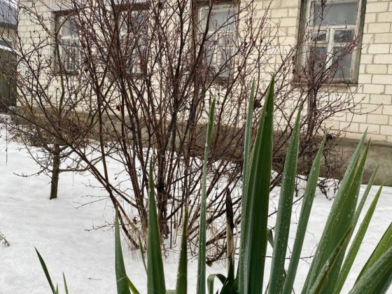 Продаж будинка на землі 6 соток , 20 метрів фасада. Черкаси