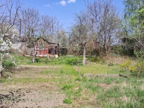 Дача участок общество Маяк Еськова от хозяина Чернигов