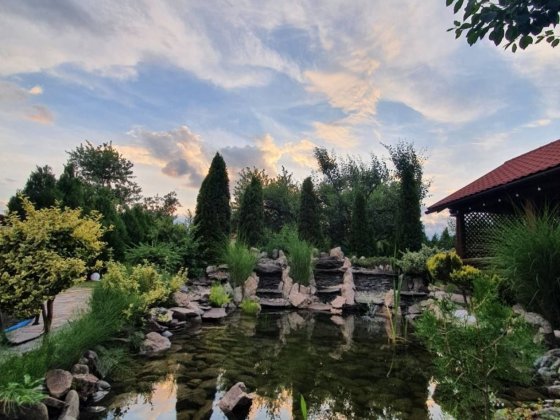 Продаж будинку біля лісу і озера Ужгород