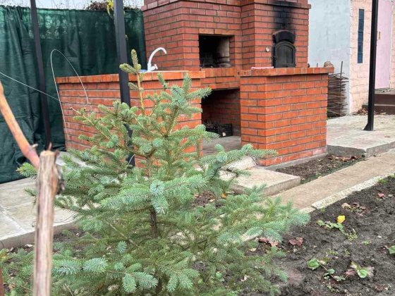 СРОЧНО! Дом-дача мечты рядом с городом | Заезжай и наслаждайся Дніпро