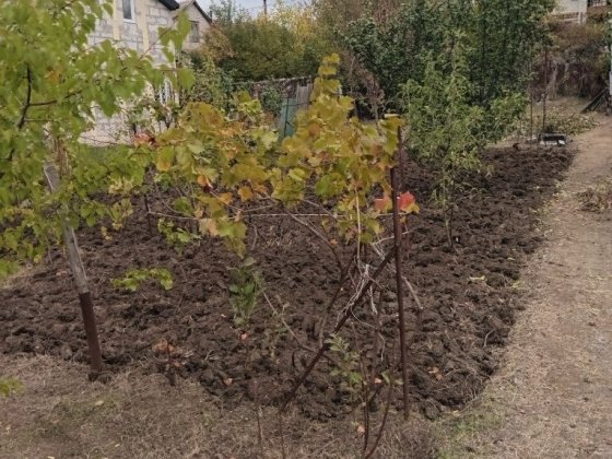 Продам дачу район хлебозавод- 5 и днепрострой- 2 Запоріжжя