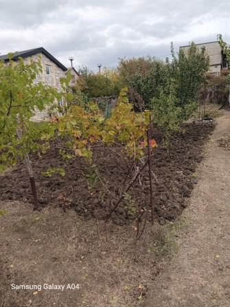 Продам дачу район хлебозавод- 5 и днепрострой- 2 - фото 1