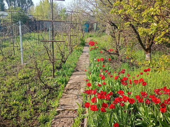 Продам дачу в місті. Запоріжжя