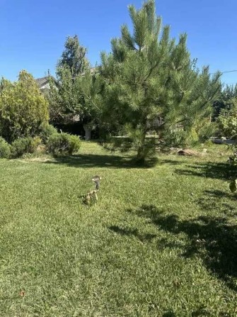 продам уютный дом 100 кв.м со всеми удобствами - фото 1