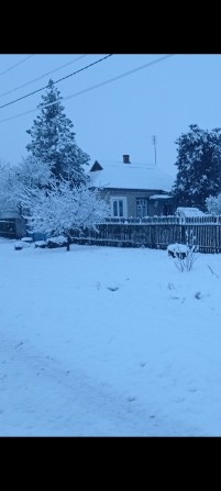 Продаю дім с.Чечеліївка Кіровоградська область від смт.Петрове 18 км - фото 1