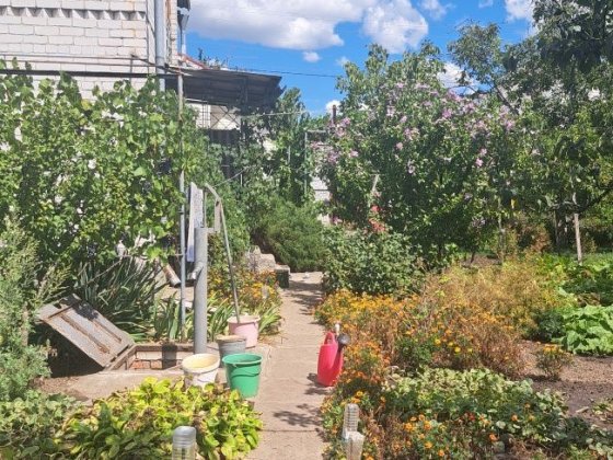 Продам дачу в місті,Березанівка.