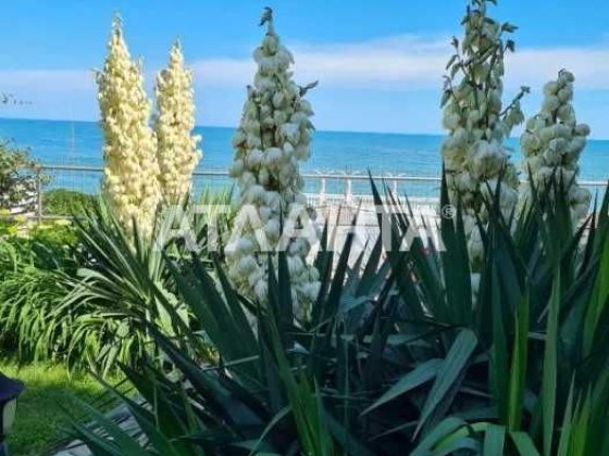 Продам будинок в першій лініі біля моря 389354 Одеса