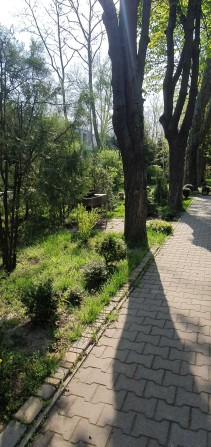 Продам коттедж   на Даче Ковалевского  ЛД - фото 1