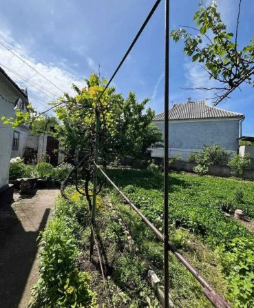 Продам дом в Диевке - фото 1