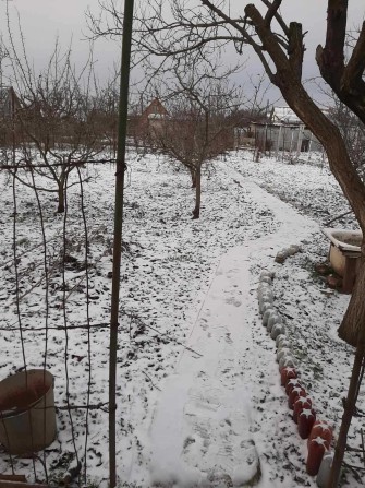 Затишна дача з ділянкою, садом та будиночком — готова до відпочинку - фото 1