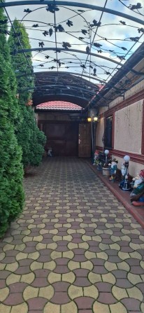 Продам красивый дом в Кривой Балке! - фото 1