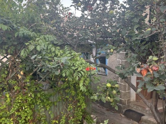 Дача в черте города Миколаїв