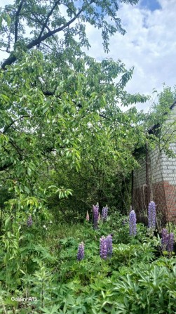 Дача в Харькове продам - фото 1