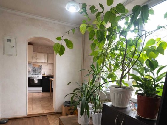 Продам дом на Слободке. Участок 15 соток Одесса