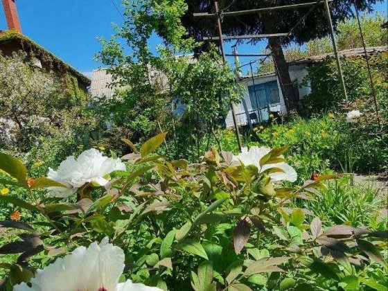 Продам участок земли под строительство вашего Дома Мечты! Одеса