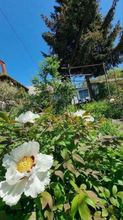 Продам участок земли под строительство вашего Дома Мечты! - фото 1