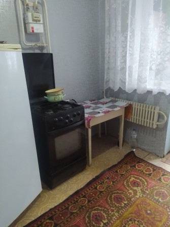 Сдам однокомнатную квартиру в Солоницевке - фото 1