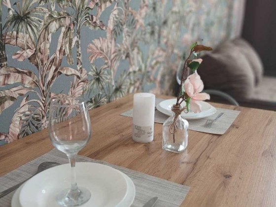 Центральний парк! Євро 2к квартира з новим ремонтом! Довгостроково! Ирпень