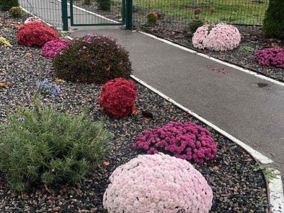 Оренда двокімнатної квартири 304 квартал Кременчук