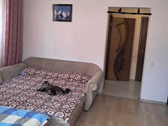 Ірпінь оренда однокімнатна квартира вулиця В.Стуса з 01.02 Ирпень