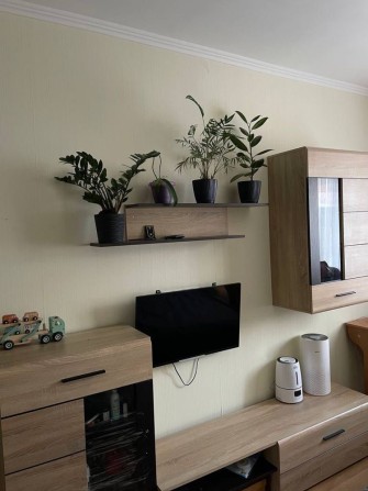 Оренда 1-кімнатна квартира Центральний парк ВЛАСНИК без КОМІСІЇ - фото 1