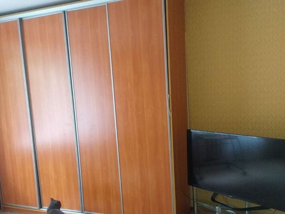 Здам 3-кімнатну квартиру, з яких 2 кімнати для проживання. Луцьк