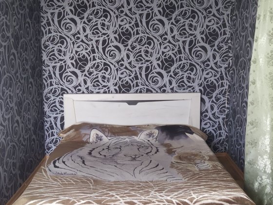 Сдам 1к квартиру на Заречном  на любой срок ,школа полиции Кривой Рог