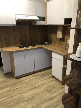 Здаю 1к кв. вул.Височана центр Драмтеатр - фото 1