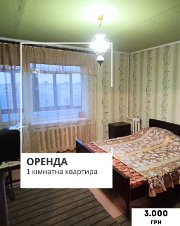 Оренда 1- кімн. вул. А. Головко - фото 1