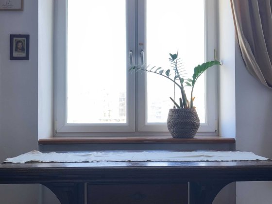 3-к. квартира в оренду від власника. Квітки Цісик (р-н старого парку) Тернополь