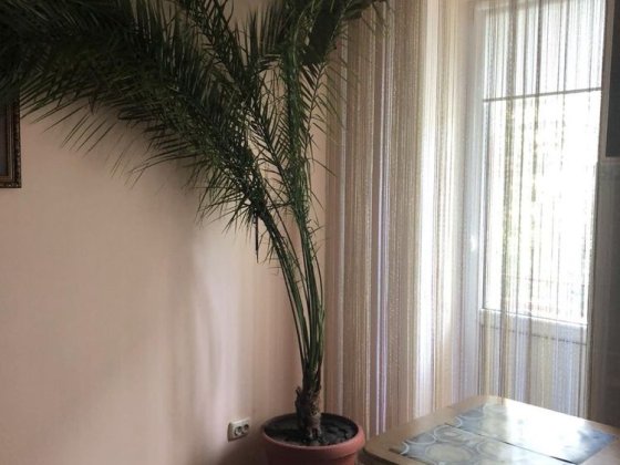 Оренда 3 кімнатної квартири Тернополь