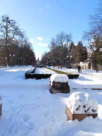 Здається квартира біля міського парку  Шевченка - фото 1