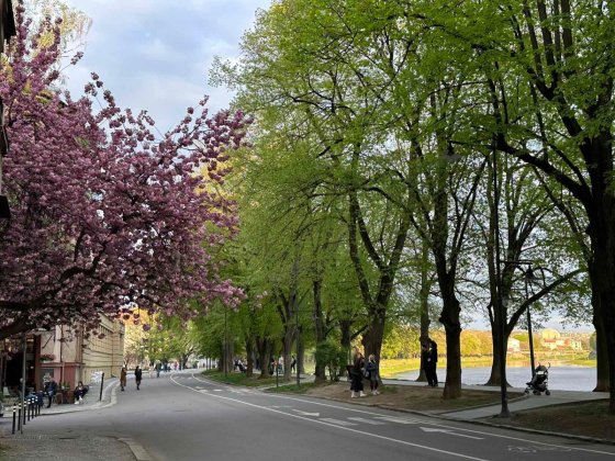 Квартира на Набережній. Історичний центр. Ужгород