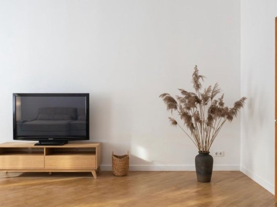 Оренда 5 кімнатноі квартири в центрі Києва вул Саксаганського камін Киев