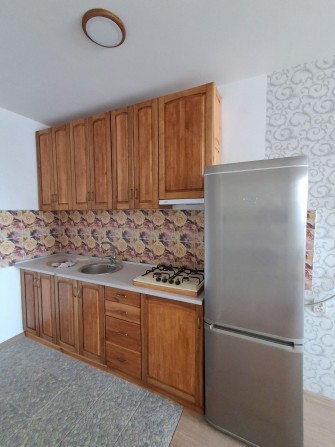 Оренда. 1 кім.квартира Центр. Індивідуальне опалення - фото 1