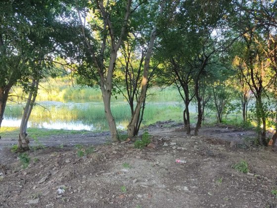 Аренда дома у реки Берегово 8500гр Берегово