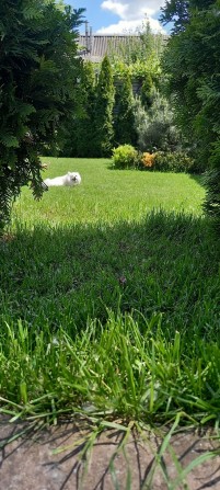 Аренда дома 3 Комнат - фото 1