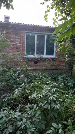 Здається хатинка в с. Пирогово - фото 1