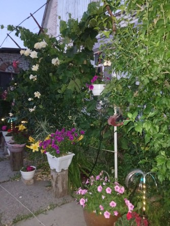 Здам кімнату в будинку - фото 1