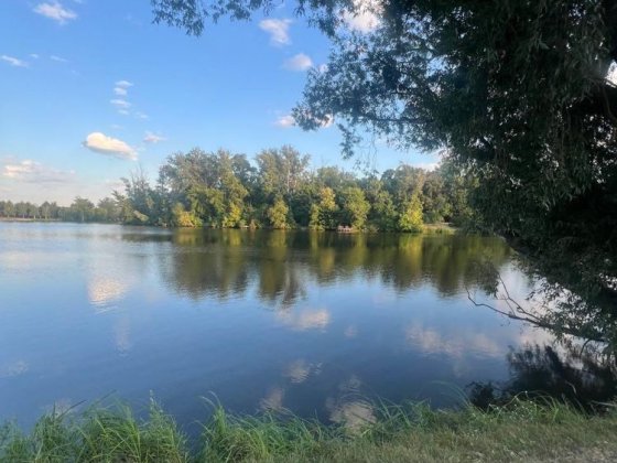 Сдам дом Харьков Высокий Харків