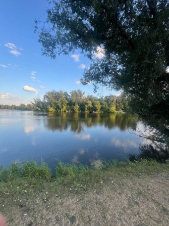 Сдам дом Харьков Высокий - фото 1