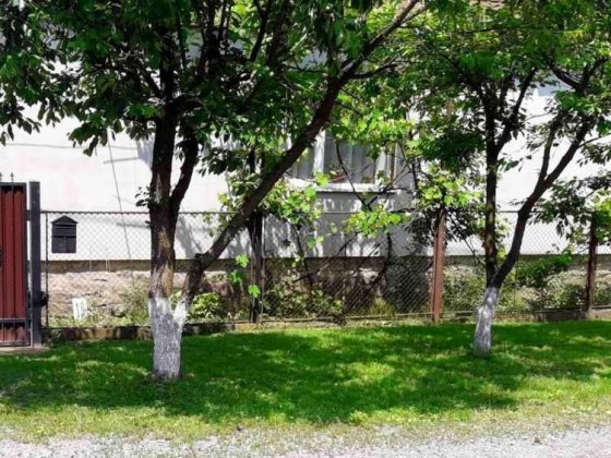 Здам будинок в Сваляві до травня Свалява