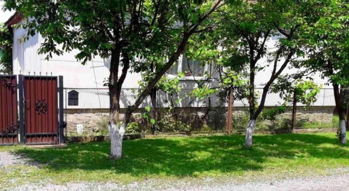 Здам будинок в Сваляві до травня - фото 1