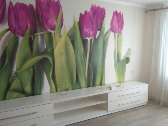 Сдам 1 комнатную квартиру Харків