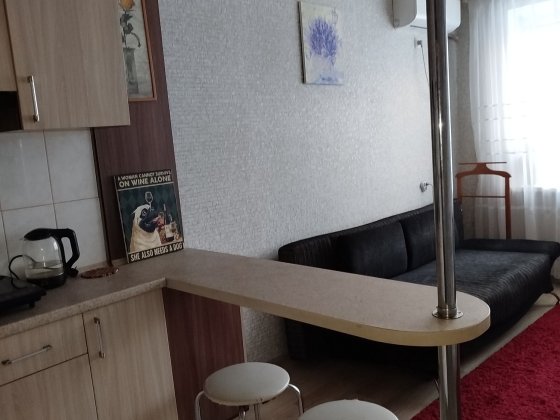 Сдам 1 комнатную смарт квартиру на Победе -6