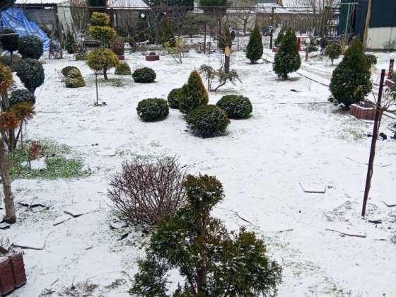 Сдам дом длительное Фонтанка