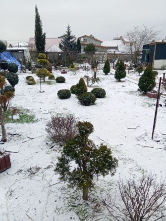 Сдам дом длительное - фото 1