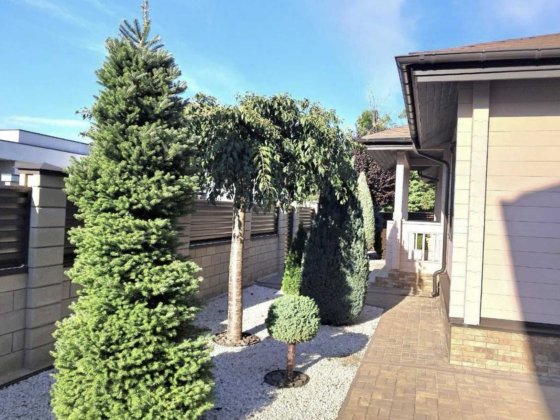 уютный одноэтажный домик в пос. Тартус, направление Котовского-Лески Лески (Одесская обл.)